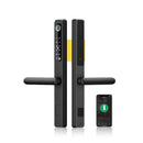 Impermeabile Esterno Compatibile Blocco Impronte Digitali App Keyless Smart Lock Serratura Elettronica per Porta in Alluminio/Cancello in Ferro (Color : 6085 Swing Gold)
