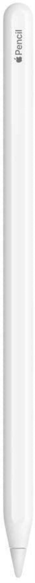 Apple Pencil 2Gen Cnf. Danneggiata per iPad MU8F2ZM/A-0